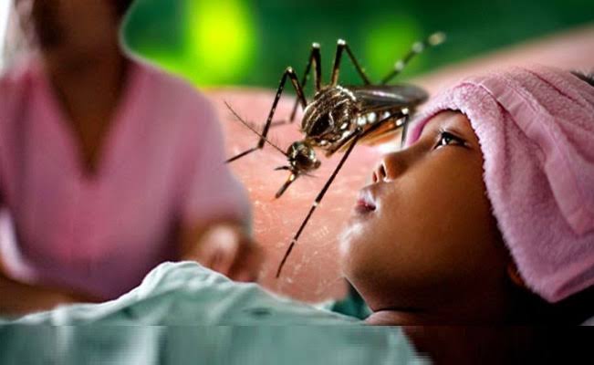 Direktur Jenderal Pencegahan dan Pengendalian Penyakit Kementerian Kesehatan, Achmad Yurianto, meminta masyarakat waspada demam berdarah dengue (DBD).