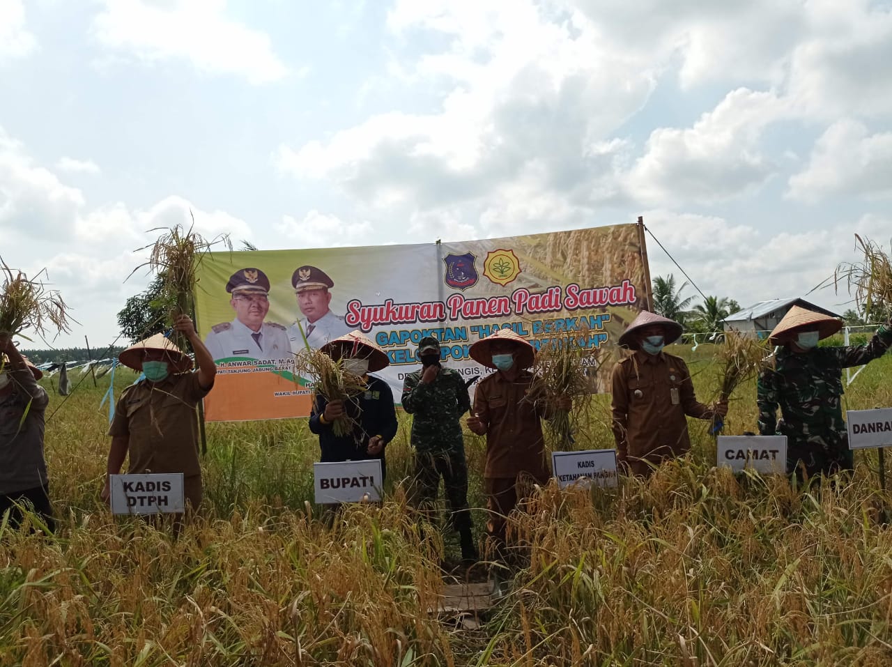 Usai Panen Raya, Bupati Tanjabbar Launching Beras Kampung Pembengis