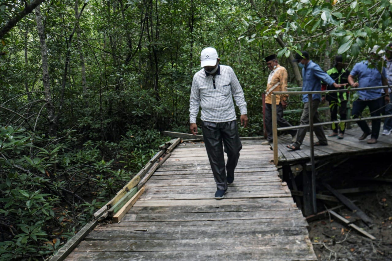 Pemkab Tanjabbar Mengapresiasi Pembentukan Perdes Tentang Perlindungan Hutan Mangrove