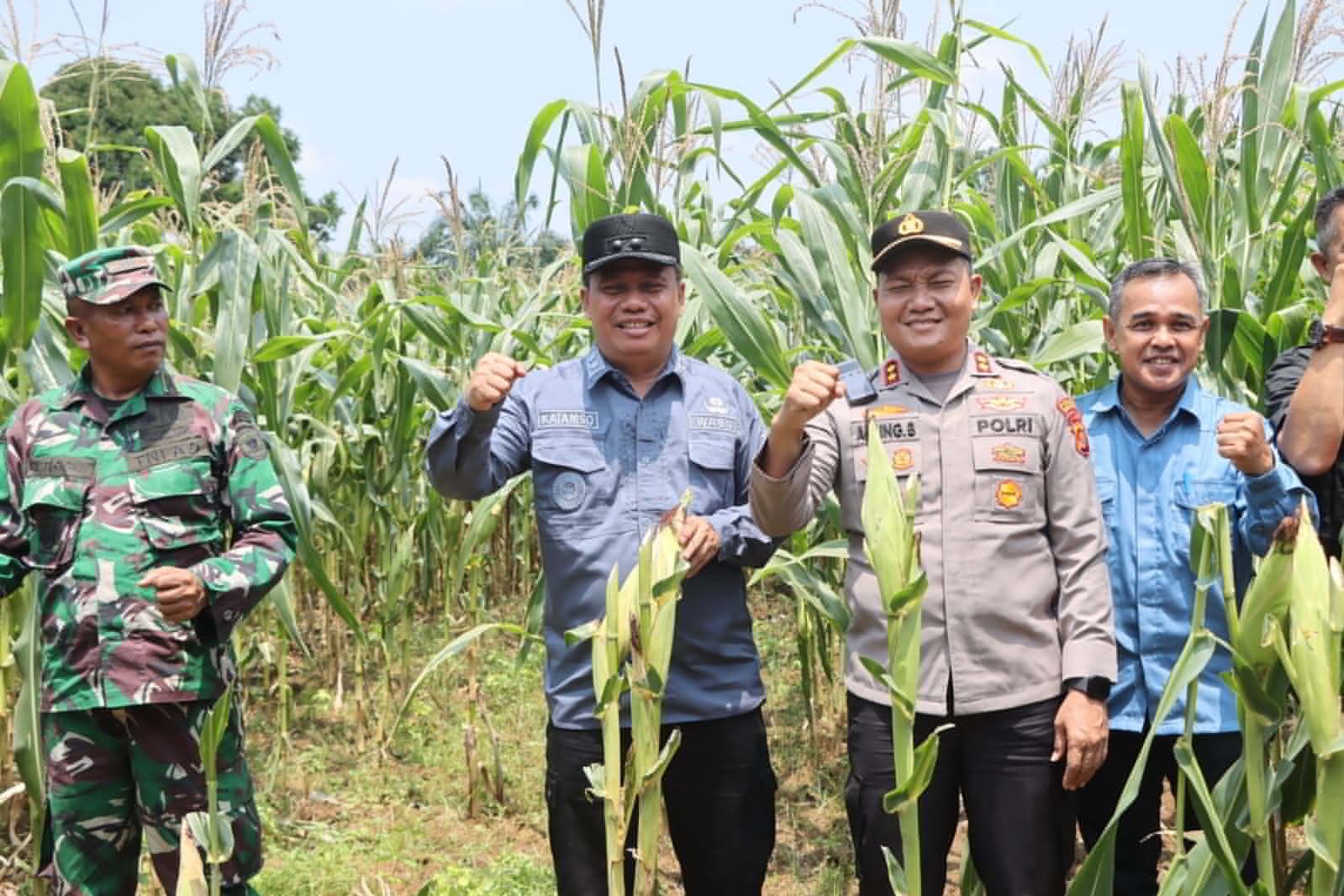 Wabup  Hadiri Panen Serentak Kuartal III di Renah Mendaluh
