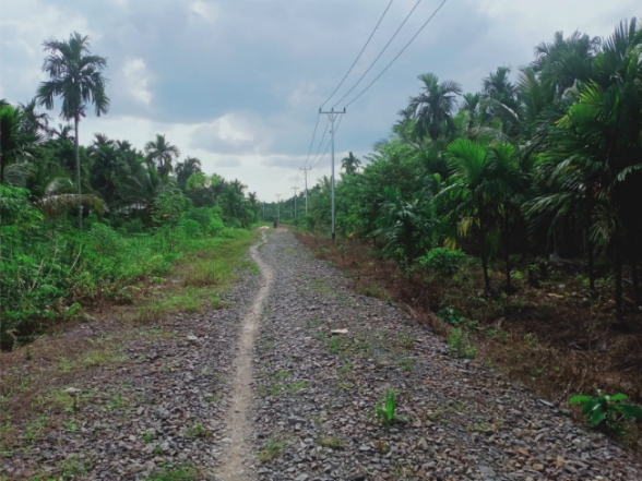 Terkesan Kurang Pengawasan, Proyek Pengerasan Jalan Desa Harapan Jaya Diduga Asal Jadi